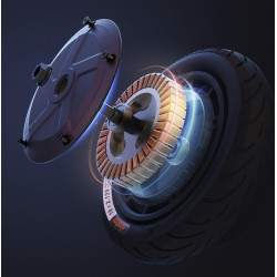 350 W Ninebot Fxx serijos variklis su 10 colių bekameriniu ratlankiu ir padanga Segway - Ninebot - 1 350 W Ninebot Fxx serijos v