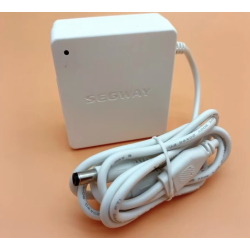 Originalni notranji polnilec baterij za Segway Ninebot W1 Drift - 25v 1.5A  - 1 Originalni notranji polnilec baterij za Segway N