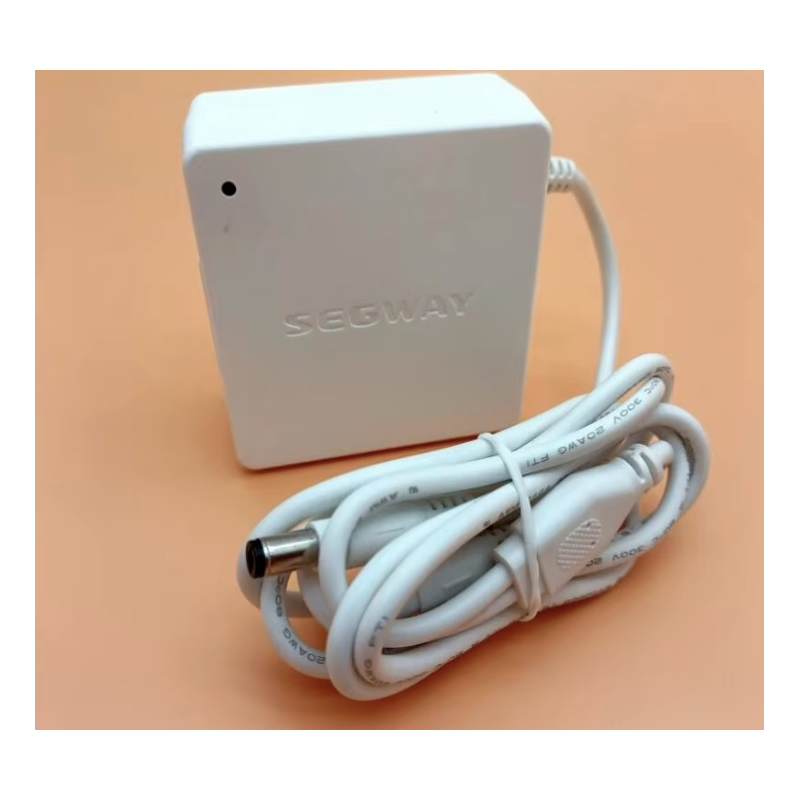 Originele interne batterijlader voor Segway Ninebot W1 Drift - 25v 1.5A  - 1 Originele interne batterijlader voor Segway Ninebot