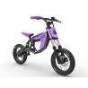 Monorim C2 electric bike for children between 5 and 15 years old, 250w motor, 12 inches Monorim - 8 Monorim C2 electric bike for