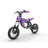 Monorim C2 electric bike for children between 5 and 15 years old, 250w motor, 12 inches Monorim - 9 Monorim C2 electric bike for